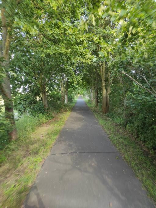 Storchennest - Ferienwohnung Am Storchenradweg Ketzür Extérieur photo