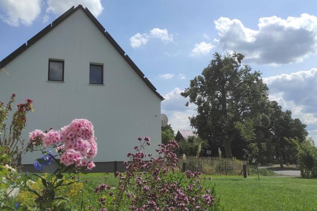 Storchennest - Ferienwohnung Am Storchenradweg Ketzür Extérieur photo