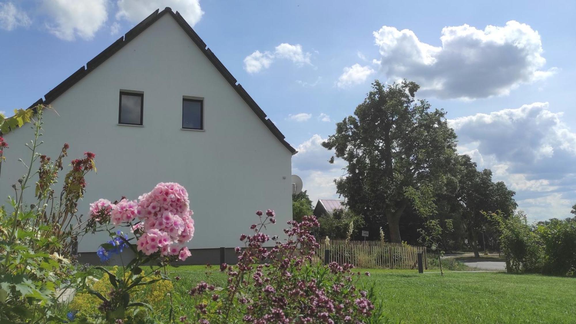 Storchennest - Ferienwohnung Am Storchenradweg Ketzür Extérieur photo