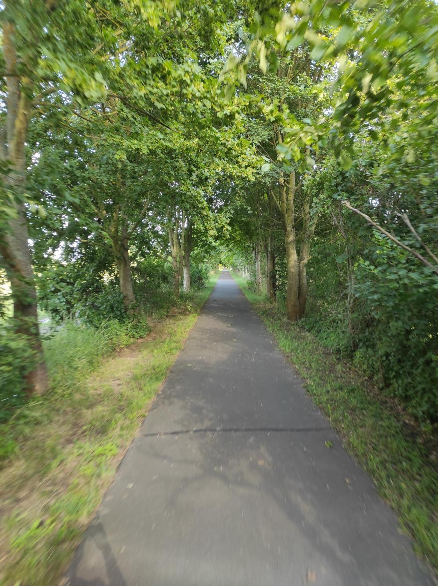 Storchennest - Ferienwohnung Am Storchenradweg Ketzür Extérieur photo